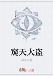 窥天大盗
