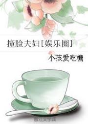撞脸夫妇[娱乐圈]