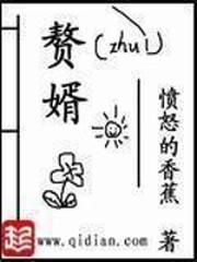 赘婿txt下载