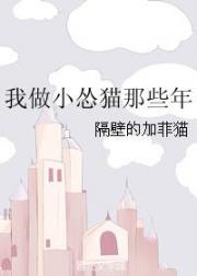 我做小怂猫那些年