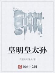 皇明皇太孙