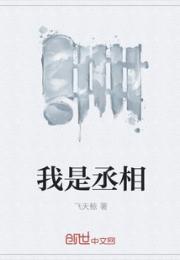 我是丞相