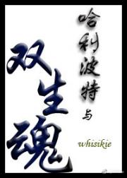 哈利·波特与双生魂