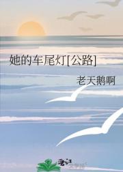 她的车尾灯[公路]