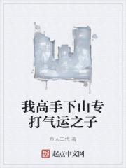 我高手下山专打气运之子