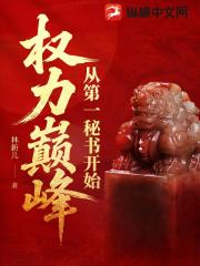 权力巅峰：从第一秘书开始